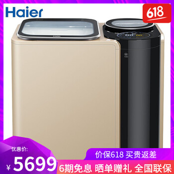 海爾雙子