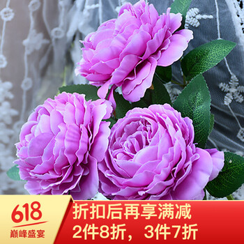 牡丹干花