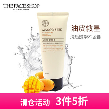 菲詩(shī)小鋪（The Face Shop）潔面乳 100-150