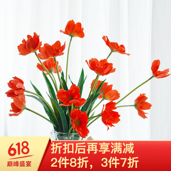 玻璃太陽(yáng)花