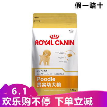 皇家貴賓犬