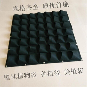 創(chuàng)意陶瓷花瓶，讓你的家變藝術(shù)