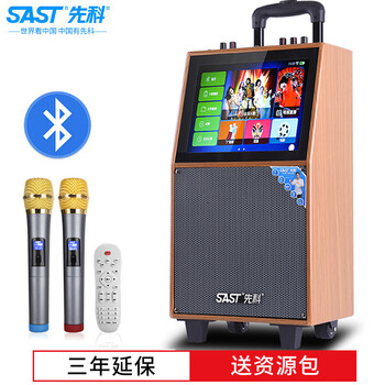 先科（SAST） WD-18 音箱/音響 WD-18【 普通版】