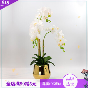 精致陶瓷花瓶，為你的家增添藝術(shù)