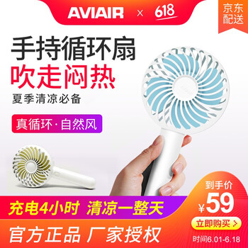 AVIAIR R5 電風扇