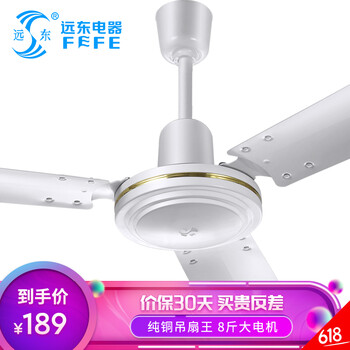遠(yuǎn)東  電風(fēng)扇