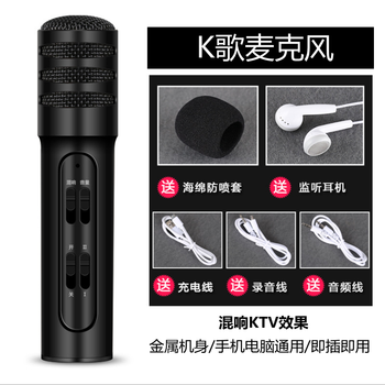 花斑鼠  手持 麥克風(fēng) H7麥克風(fēng)黑色
