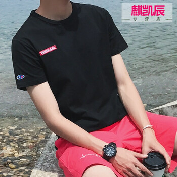 帝行（DIXING） 短袖 男士T恤 黑色-胸前刺繡 