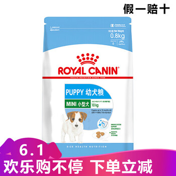 皇家貴賓犬