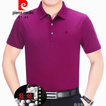 皮爾卡丹（pierrecardin） 短袖 男士T恤 081975062藍(lán)色 
