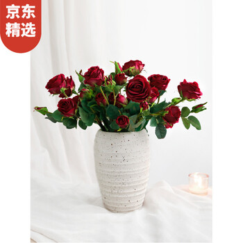 高顏值花瓶，讓你的生活更浪漫