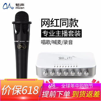 魅聲 T8-E300 手持 麥克風(fēng) 黑色