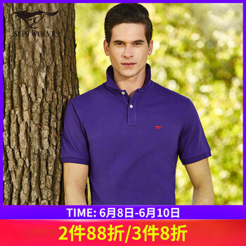 七匹狼（SEPTWOLVES） 短袖 男士T恤 502絳紫色 