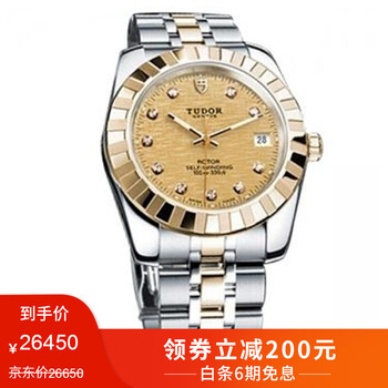 帝舵21013