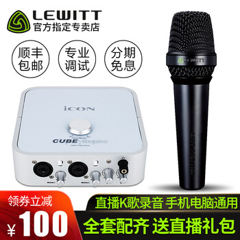 萊維特（LEWITT）  手持 麥克風(fēng) MTP 250+艾肯4NANO套裝