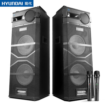 現(xiàn)代（HYUNDAI）  音箱/音響 DK-220（塑料無線麥克風(fēng)）