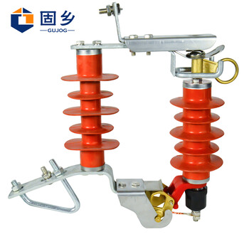 固乡 跌落式避雷器氧化锌 HY5WS-17/50DL-TB 可卸式避雷器 10KV防雷器【一个装】