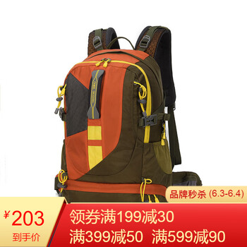 駱駝牌戶外雙肩包
