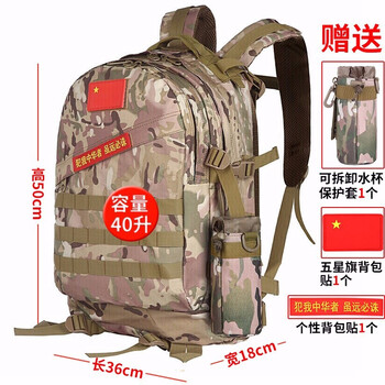 戰(zhàn)術(shù)迷彩叢林