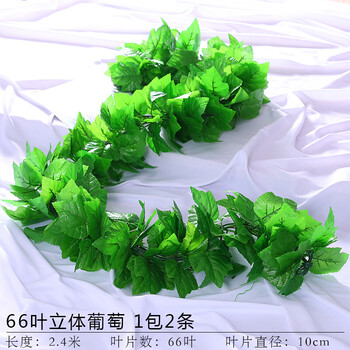 點綴生活，彩色花瓶為你加分