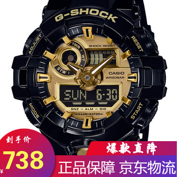casio710