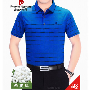 皮爾卡丹（pierrecardin） 短袖 男士T恤 新亮蘭 