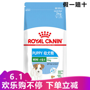 皇家貴賓犬