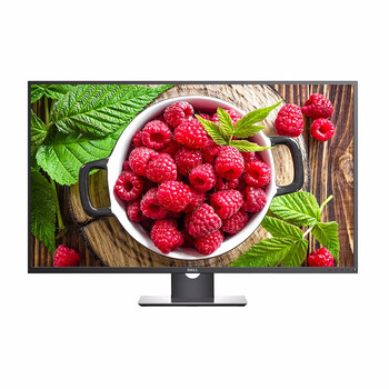 dell43寸