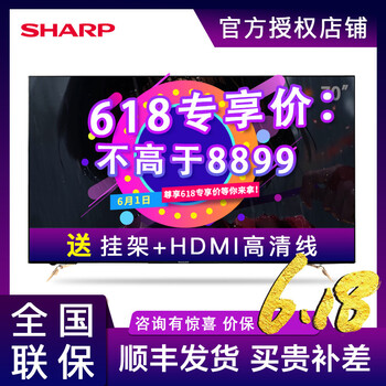 超大屏電視
