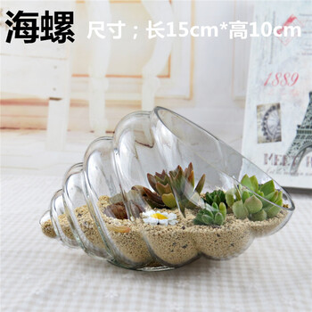 怎么樣,植物,水晶,水晶,植物