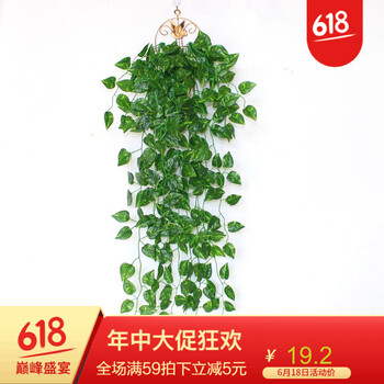精致花瓶，讓你的家更有藝術(shù)感