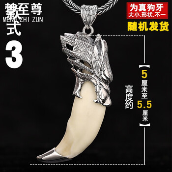 銀項(xiàng)鏈及吊墜