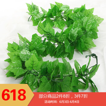 精致花瓶，讓你的家變成藝術(shù)美人