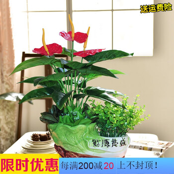 客廳太單調(diào)，精美家居擺件來幫你