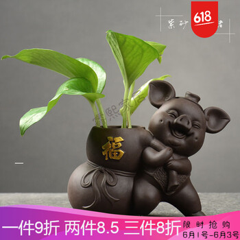 精美花瓶，讓你的家變得更簡(jiǎn)單
