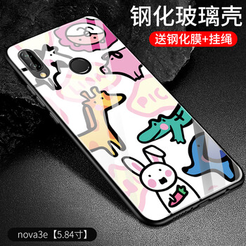 小動物包