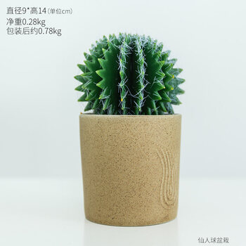 創(chuàng)意塑料擺件，裝點客廳藝術感