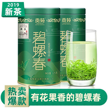 綠茶茶葉新茶春茶