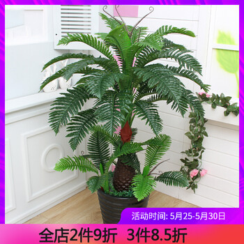 ����,��ô��,����,��֬,��֬,ֲ��,ֲ��,�辰,�辰