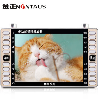 跳廣場(chǎng)舞金正音響