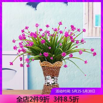 怎么樣,植物,植物,盆景,盆景,滿天星,滿天