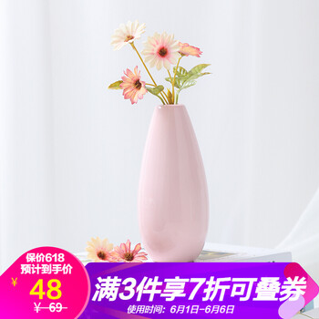 精美創(chuàng)意花瓶，打造浪漫田園風(fēng)