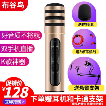 布谷鳥(niǎo) C6 支撐式 麥克風(fēng) 土豪金+懸臂支架