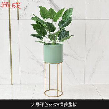 的藝術，精美花瓶讓你愛上生活