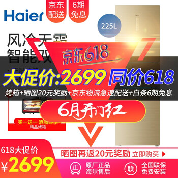 海爾冰箱225wdgk