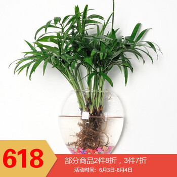 精致花瓶，讓你的家更簡(jiǎn)單