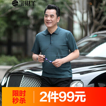 寶財(cái)羊 短袖 男士T恤 9139綠色 