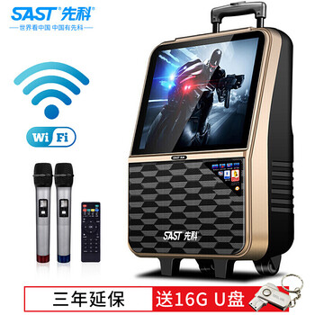 先科（SAST） WD-18 音箱/音響 WD-18【 WIFI版】