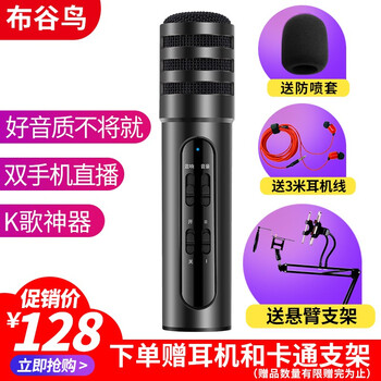 手機麥克風(fēng)，讓你秒變大功率
