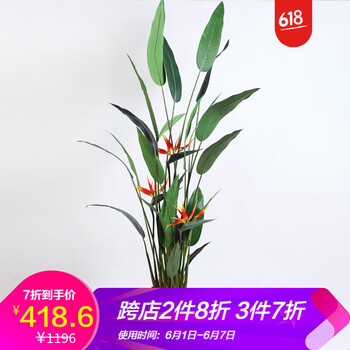花藝布景